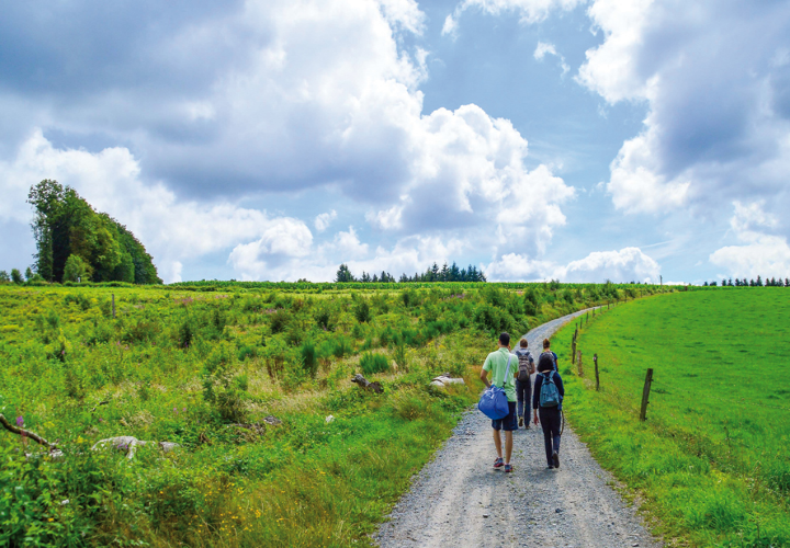 Herfstwandeling aan de taalgrens