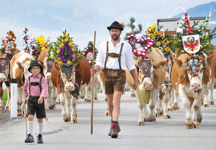 De Almabtrieb in Tirol