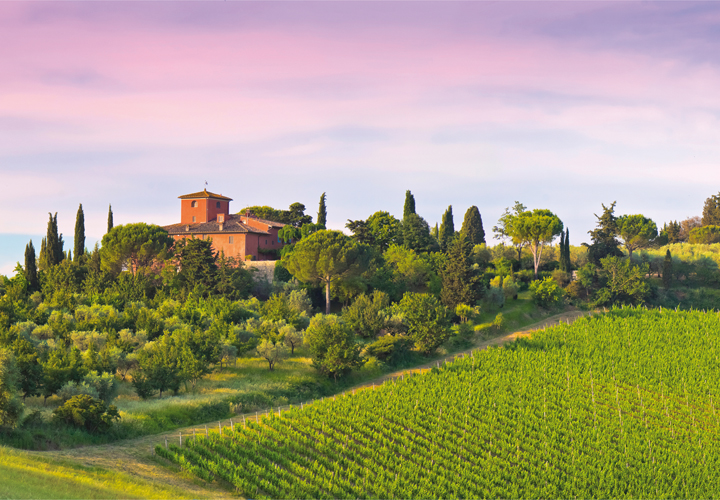 Toscane en Chianti