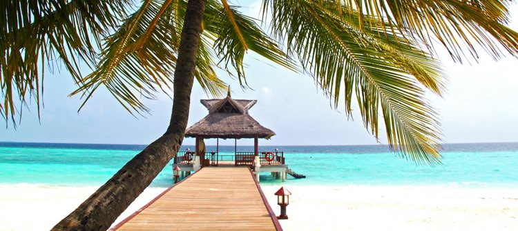 Vroegboekprijzen 2026