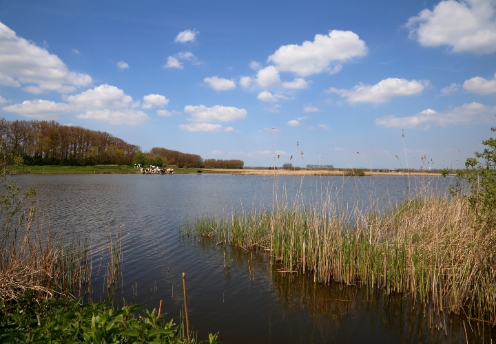 Palingfestijn en het krekengebied