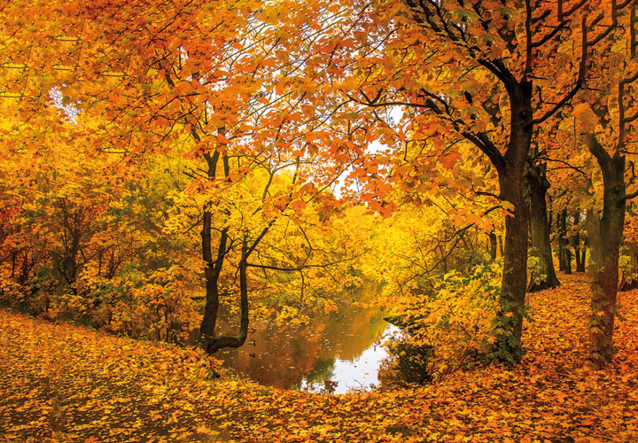 Herfstwandeling door de Lembree- en de Ourthevallei