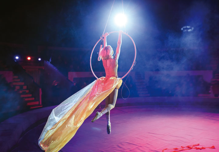 Rondrit en bezoek aan wondermooi Kerstcircus met artiesten van wereldniveau