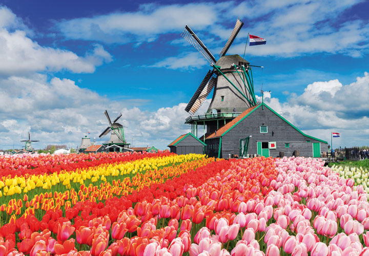 GR26 BLOEMENCORSO EN KEUKENHOF