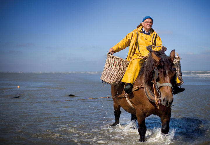 Garnaalfeesten Oostduinkerke