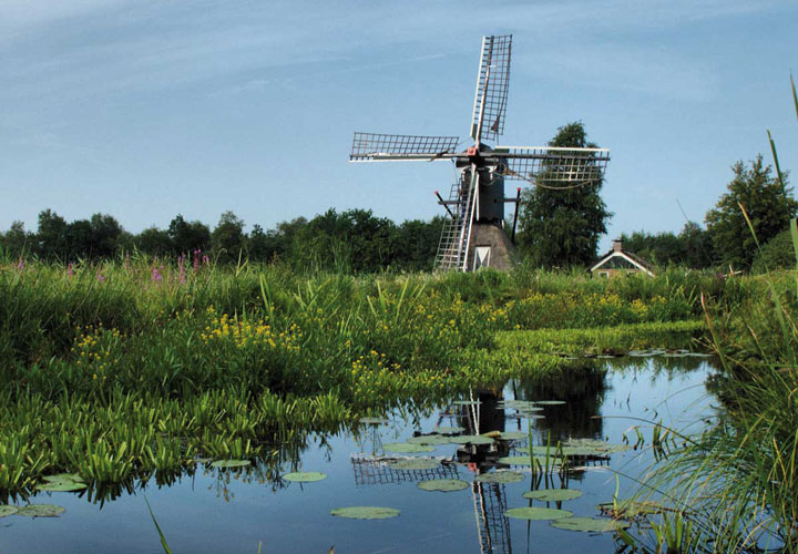 Museum Schokland en de weerribben