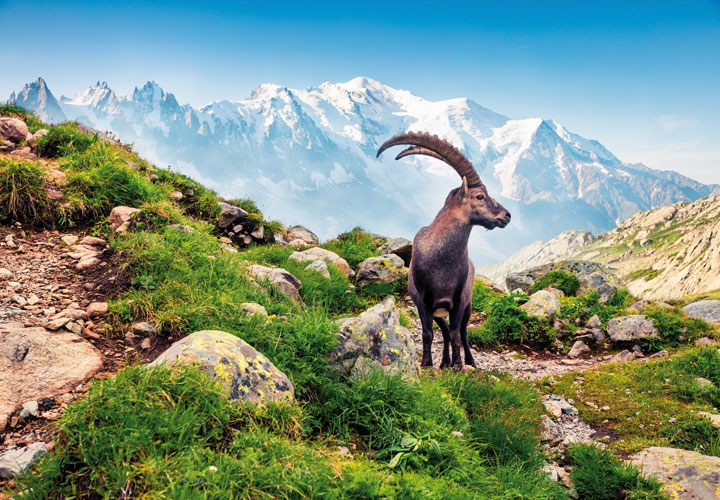 Franse Alpen & Haute-Savoie (seniorenreis)