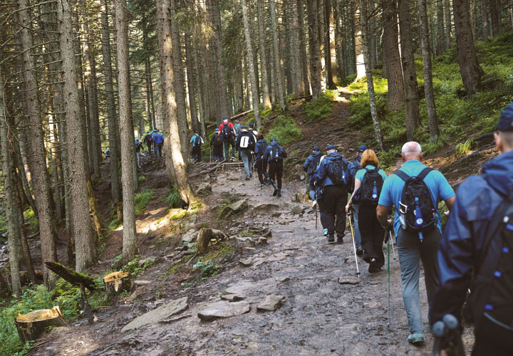 Sächsische Schweiz begeleid wandelen