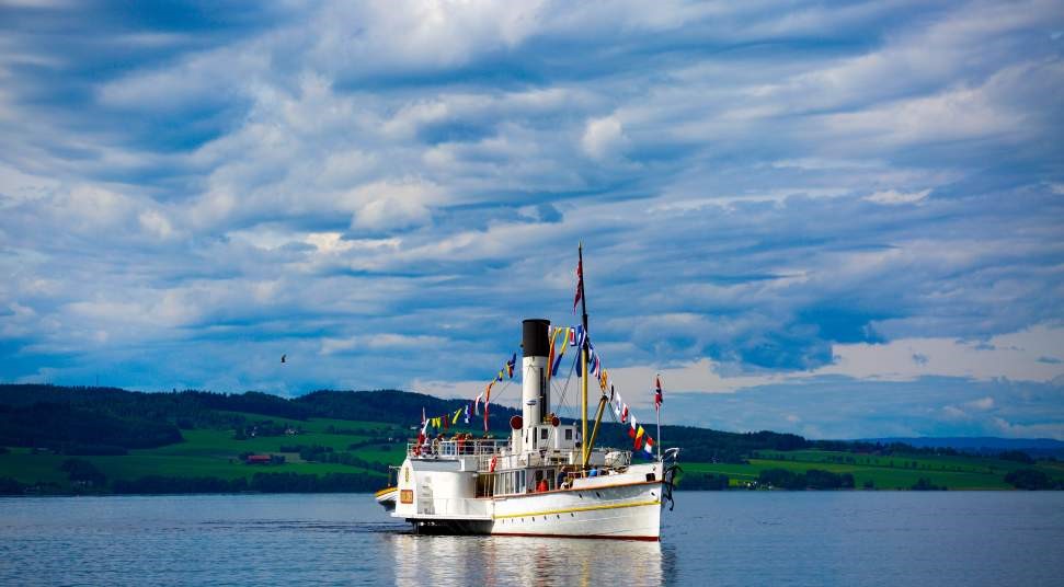 fjorden kurt 6 witte zwaan