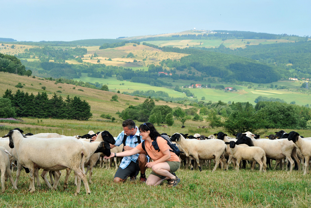 GR133 Klein Zwitserland en Schaapskooi Zuid-Limburg