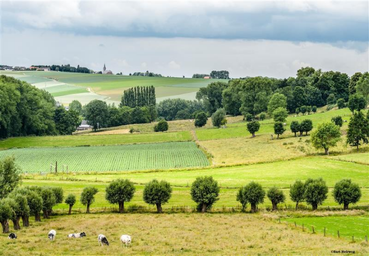 GR131 VLAAMSE ARDENNEN EN DE ZWALM