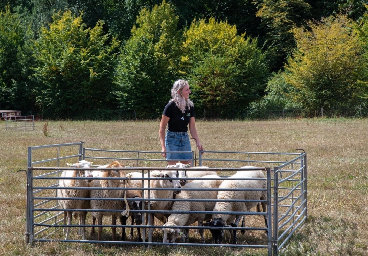 Mergelland en schaapskooi Zuid-Limburg, Herfstpromotie