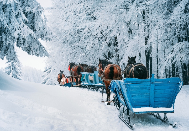 Winters genieten aan het Vierwoudstedenmeer en centraal-zwitserland