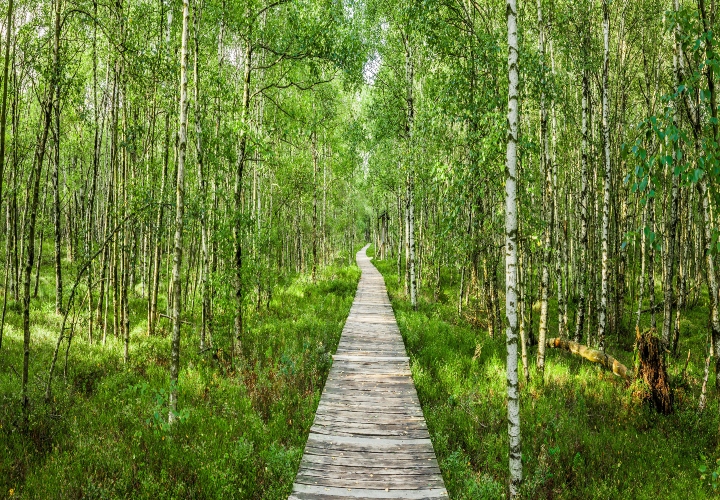 Wandelen in natuur- en bioreservaat Rhön